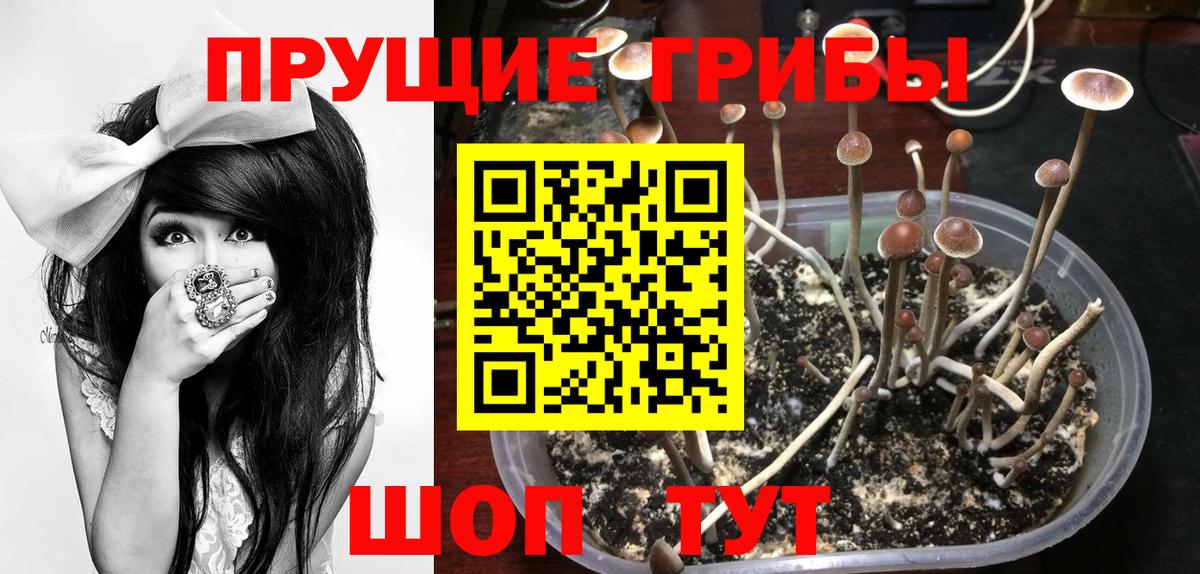 Псилоцибиновые грибы мухоморы Пыть-Ях