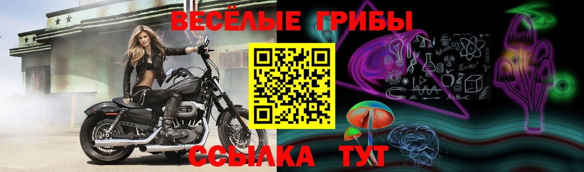 Галлюциногенные грибы прущие грибы  Вход с VPN  Галлюциногенные грибы прущие грибы  магазин    Пыть-Ях 